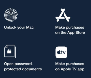 Macbook Touch ID